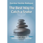 The Best Way to Catch a Snake: A Practical Guide To Gautama Buddha's Teachings - Paperback