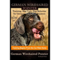 German Wirehaired Pointer Training, Dog Care, Dog Behavior, for German Wirehaired Pointers By D!G THIS DOG Training, Dog Training Begins From the Car - Paperback