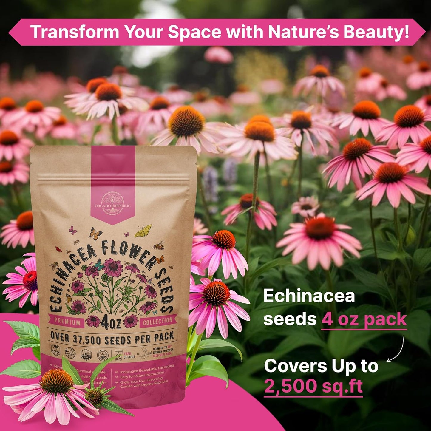 Marigold Seeds Pack 1 oz - Over 9,250 Non-GMO Heirloom Marigold Seeds for Planting Indoor & Outdoor Gardening, Flower Seed for Planting Home and Garden, Flowers Seed in Individual Packet
