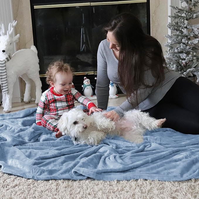 Bedsure Fleece Blankets Twin Size Light Blue - 300GSM Lightweight Plush Fuzzy Cozy Soft Blanket for Bed, Sofa, Couch, Travel, Camping, 60x80 inches