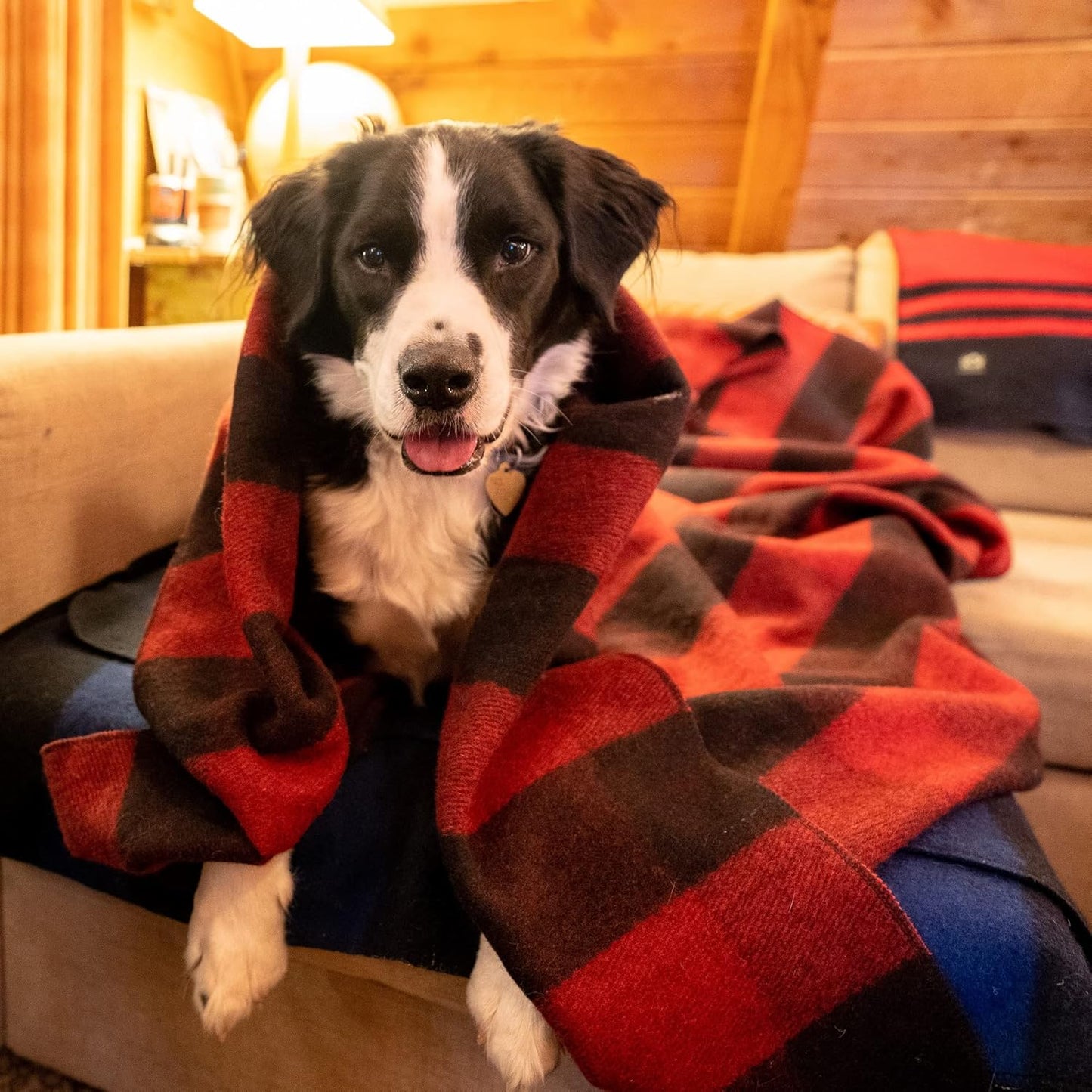 Arcturus Red Buffalo Wool Blanket and Carry Straps Bundle
