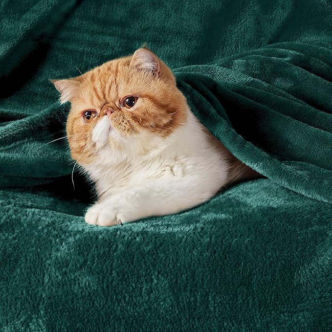 Bedsure Fleece Blankets Queen Size Emerald Green - Bed Blanket Soft Lightweight Plush Fuzzy Cozy Luxury Microfiber, 90x90 inches