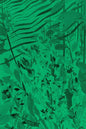 David Eisl: Green Screen Weeds and Dreaming Grids - Paperback