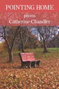 Pointing Home - Paperback