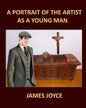 A PORTRAIT OF THE ARTIST AS A YOUNG MAN JAMES JOYCE Large Print: Large Print - Paperback