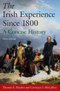 The Irish Experience Since 1800: A Concise History: A Concise History - Paperback