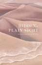 Hidden in Plain Sight: Finding a Seemingly Hidden God - Paperback
