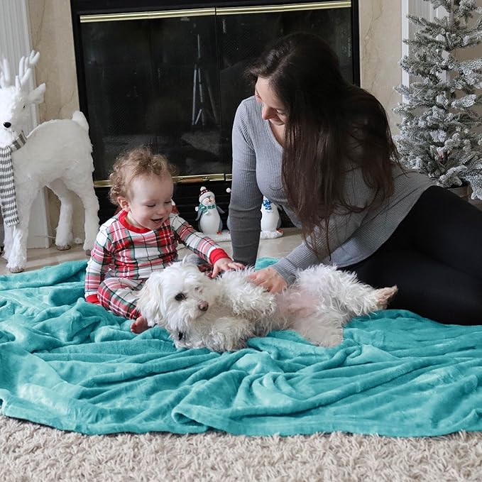 Bedsure Fleece Throw Blanket for Couch River Blue - Lightweight Plush Fuzzy Cozy Soft Blankets and Throws for Sofa, 50x60 inches