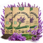 English Lavender Seeds Pack 2.50G - Over 2200 Non-GMO Heirloom Lavender Seeds for Planting Herbs in Individual Seed Packet, Herbs Seeds for Planting Home Garden Indoor & Outdoor Gardening