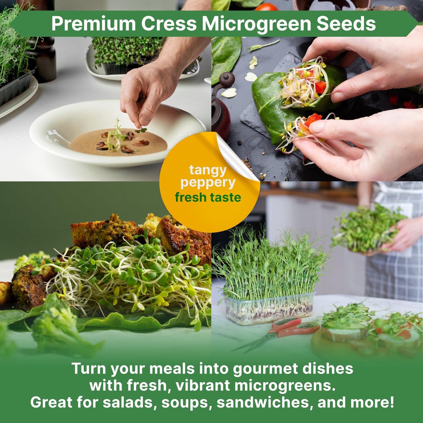 Organo Republic Broccoli Sprouting & Microgreens Seeds - Non-GMO, Heirloom Sprout Seeds Kit, 1lb Resealable Bag for & Growing Microgreens in Soil, Coconut Coir, Aerogarden & Hydroponic