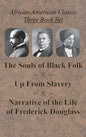 African-American Classic Three Book Set - The Souls of Black Folk, Up From Slavery, and Narrative of the Life of Frederick Douglass - Hardcover