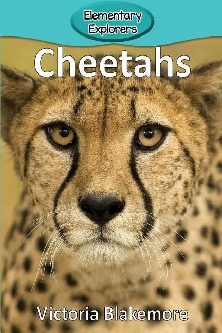 Cheetahs - Paperback