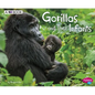 Gorillas and Their Infants: A 4D Book - Paperback