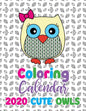 Coloring Calendar 2020 Cute Owls - Paperback