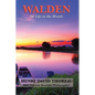 Walden (Illustrated Edition) - Paperback