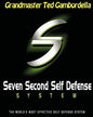 Seven Second Self Defense System: The World's Most Effective Self Defense Program - Paperback