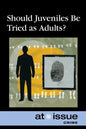 Should Juveniles Be Tried as Adults? - Paperback