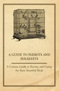A Guide to Parrots and Parakeets - A Concise Guide to Buying and Caring for These Beautiful Birds - Paperback