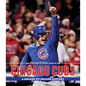 The Chicago Tribune Book of the Chicago Cubs: A Decade-By-Decade History - Hardcover