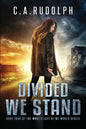 Divided We Stand: Book Four of the What's Left of My World Series - Paperback