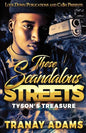 These Scandalous Streets: Tyson's Treasure - Paperback
