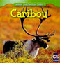Caribou - Paperback