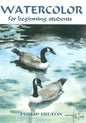 Watercolor For Beginning Students - Paperback