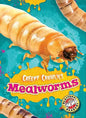 Mealworms - Paperback