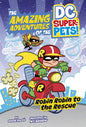 Robin Robin to the Rescue - Hardcover