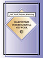 Jail and Prison Ministry - Paperback