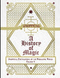 Unofficial History of Magic: Unofficial Encyclopedia of the Wizarding World - Volume 4 - Paperback