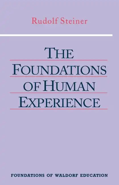 The Foundations of Human Experience: (Cw 293 & 66) - Paperback