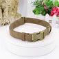 Teddy Corgi Dog Collar Medium-sized Dog Leash