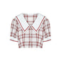 Two-piece pleated skirt and plaid top