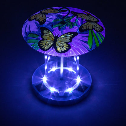 Bright & Bold Solar Bird Feeder