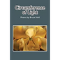 Circumference of Light - Paperback