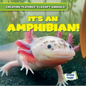 It's an Amphibian! - Library Binding