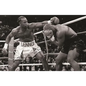 The Boxing Register: International Boxing Hall of Fame Official Record Book - Paperback