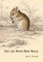 Joey the Motor Home Mouse - Hardcover