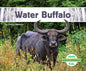 Water Buffalo - Library Binding