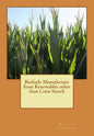 Biofuels Manufacture from Renewables other than Corn Starch - Paperback
