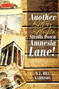 Another Baby Boomer Strolls Down Amnesia Lane! - Paperback