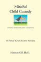 Mindful Child Custody: Thinking Outside the Child Custody Box 10 Family Court Secrets Revealed - Paperback