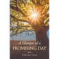 A Glimpse of a Promising Day - Paperback