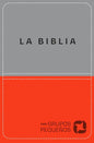 Biblia Para Grupos Pequeños - Nbv Lujo - Leather