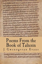 Poems From the Book of Taliesin - Paperback