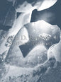 Maria D. Rapicavoli: Surface Tension - Paperback