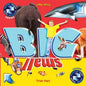 BIG and SMALL: A concept picture book for children - Paperback