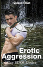 Erotic Aggression: Gay BDSM Erotica - Paperback