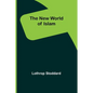 The New World of Islam - Paperback